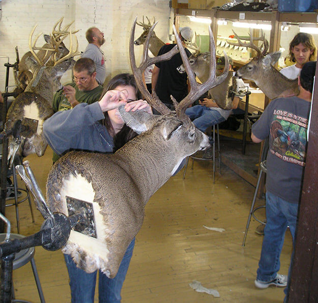 Image of taxidermy class in progress